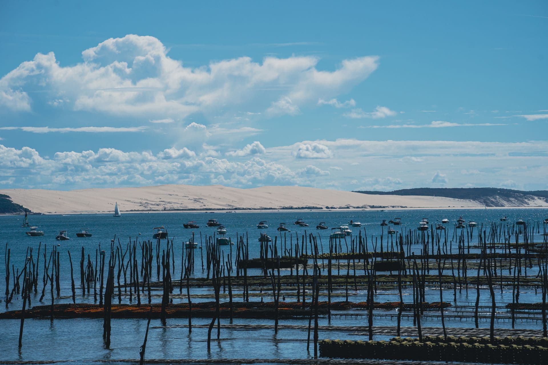 Cabanes en bois du Bassin d'Arcachon