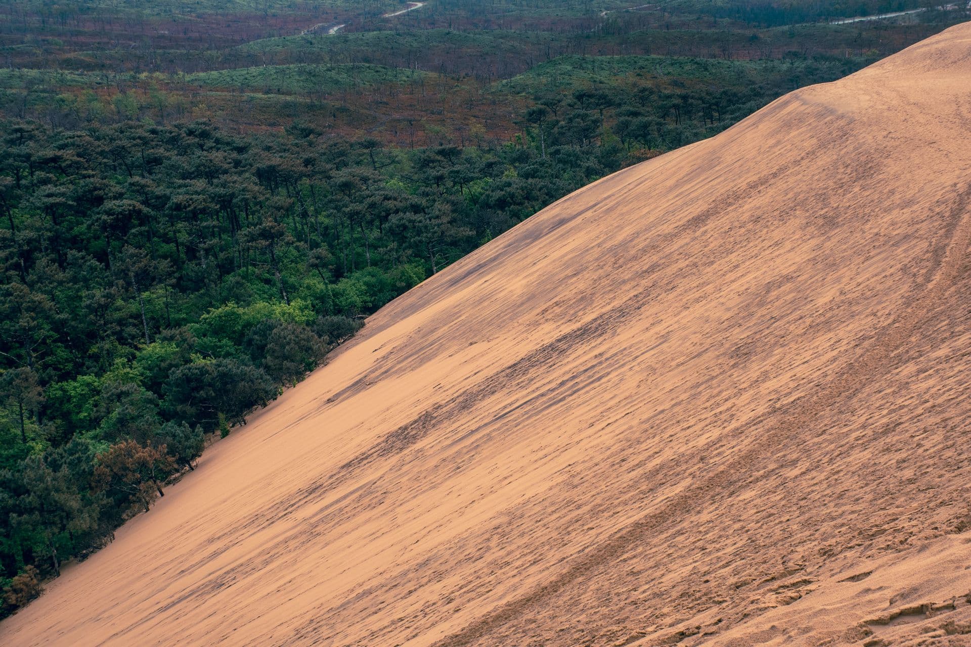 La dune du Pilat face à l'océan